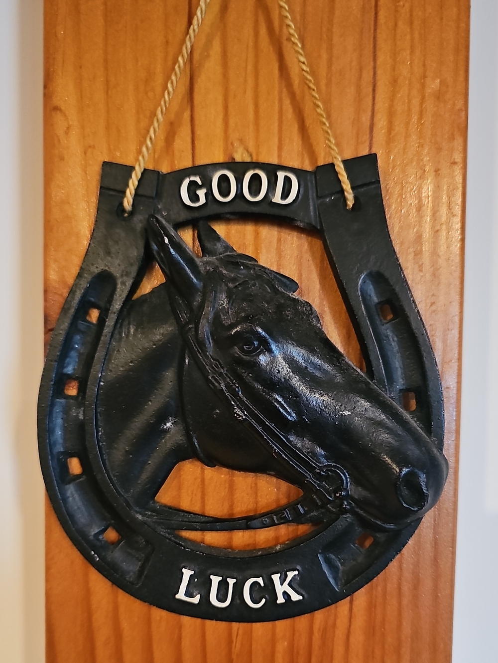 Good Luck Horse Head Horseshoe Wall Plaque - Black